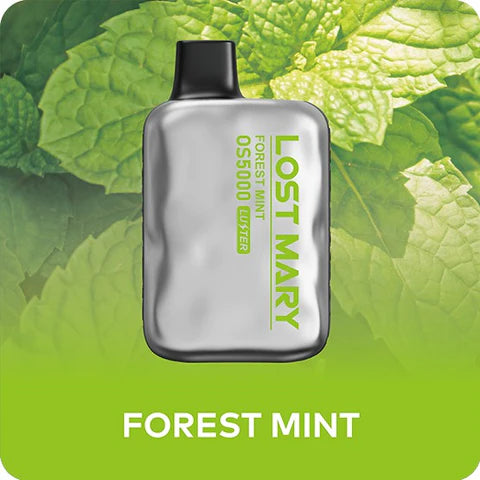 Lost Mary Forest Mint 5000 puffs.