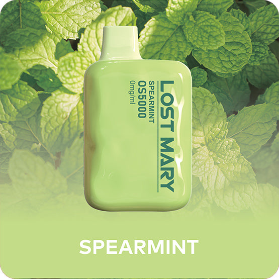 Lost Mary Spearmint 5000 puffs.